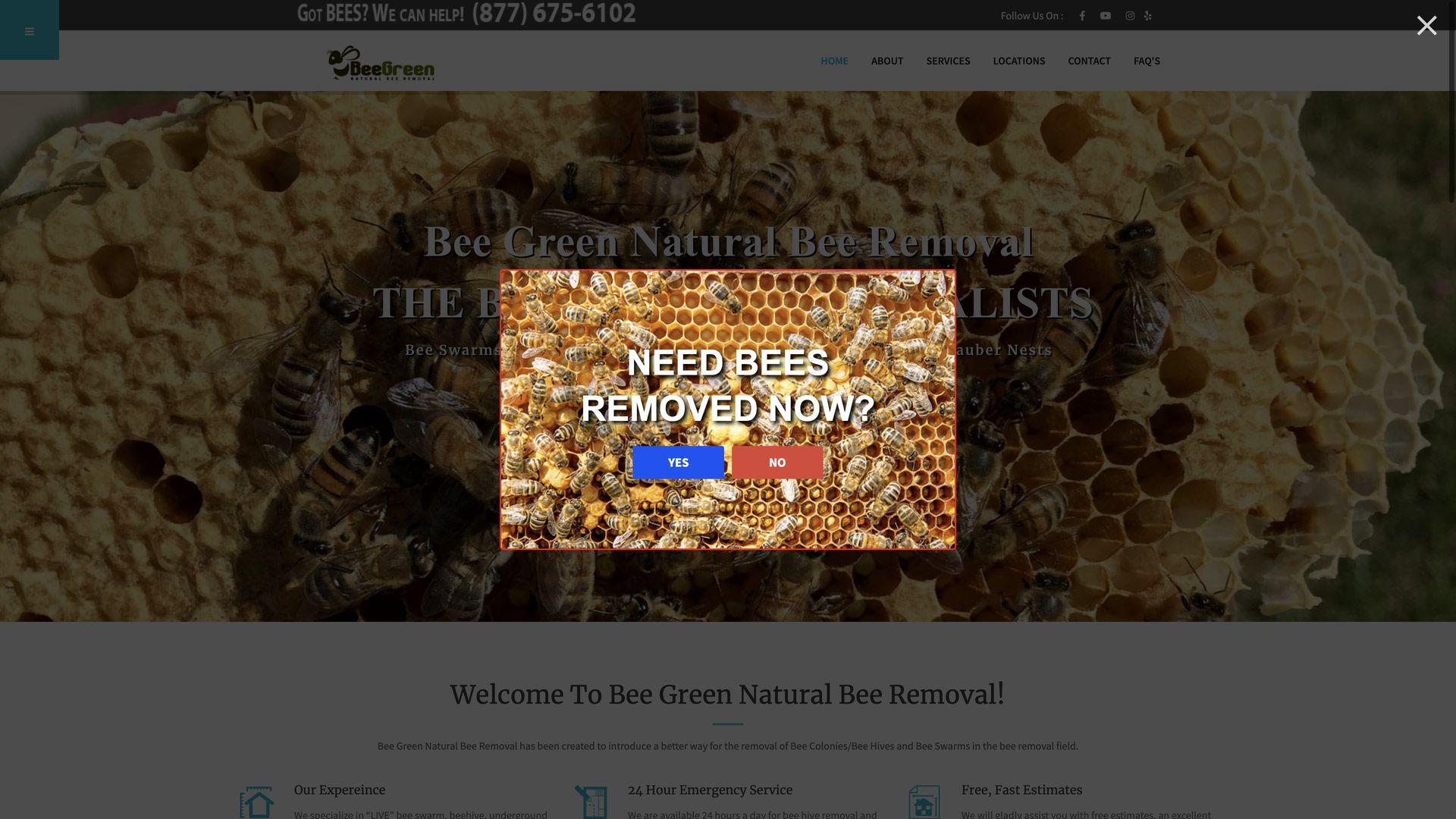 Pest Control Company Bee Green Natural Bee Removal